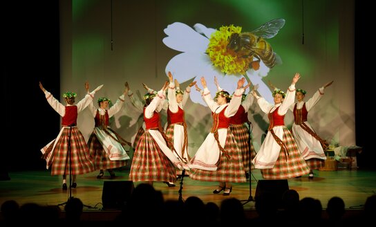 IV Tradicinio Lietuvių liaudies dainų ir muzikos festivalio „Pyniau dainų vainikų…“ akimirkos