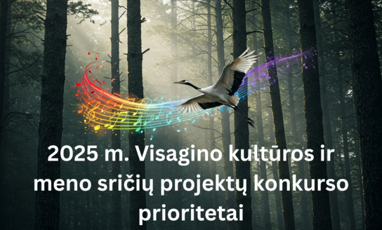 Patvirtinti 2025 m. Visagino savivaldybės kultūros ir meno sričių projektų finansavimo prioritetai