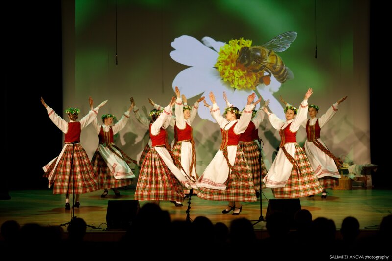 IV Tradicinio Lietuvių liaudies dainų ir muzikos festivalio „Pyniau dainų vainikų…“ akimirkos