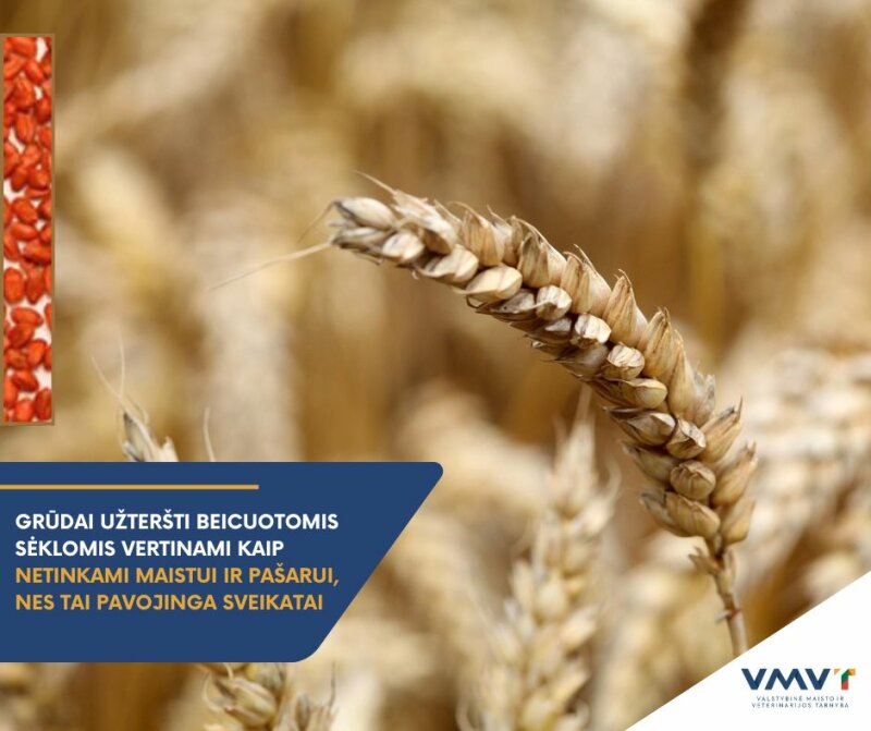 Svarbi VMVT žinutė ūkininkams: neatsakingas beicų naudojimas - rizika sveikatai!