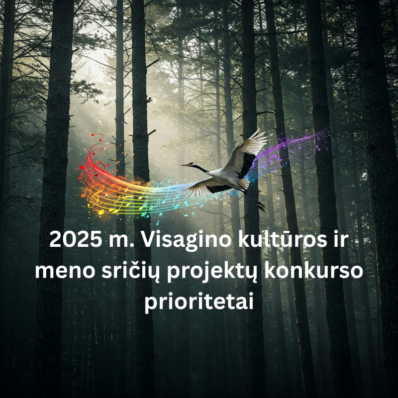 Patvirtinti 2025 m. Visagino savivaldybės kultūros ir meno sričių projektų finansavimo prioritetai