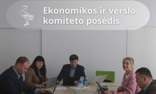 Ekonomikos ir verslo komiteto posėdis