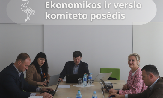 Ekonomikos ir verslo komiteto posėdis