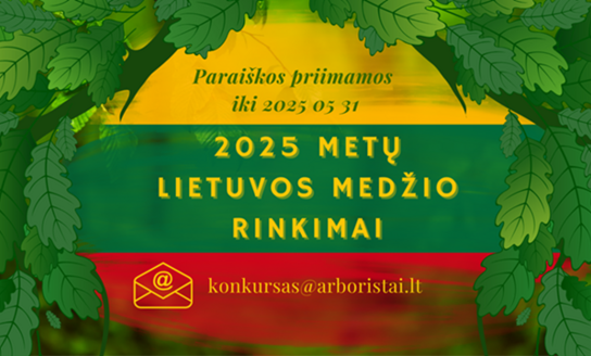 2025 metų Lietuvos medžio rinkimai