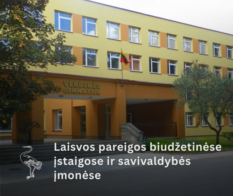 Skelbiama specialistų paieška Visagino „Verdenės“ gimnazijoje