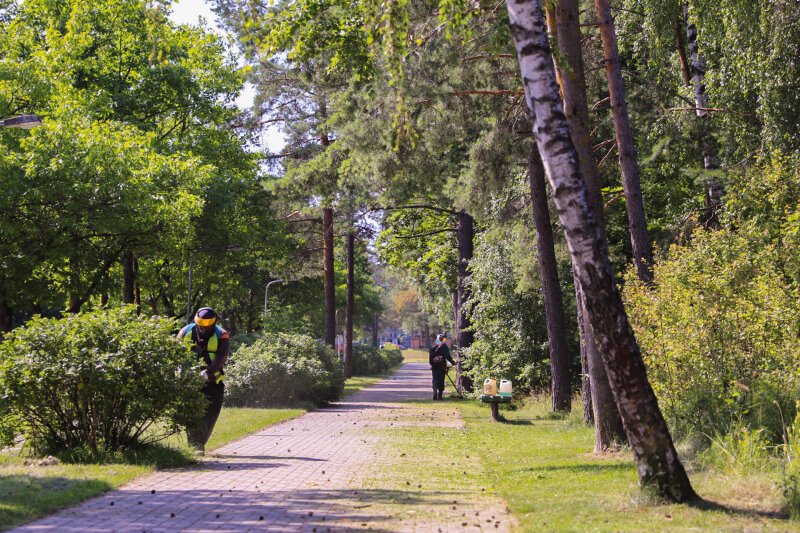 Preliminarus šienavimo grafikas nuo 2025 m. birželio 2 d.