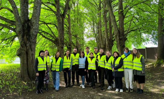 Medžių alėjos – ne tik grožiui: Lietuva ir Latvija pradeda tarptautinį projektą jų išsaugojimui