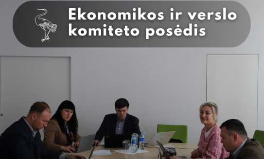 Ekonomikos ir verslo komiteto posėdis