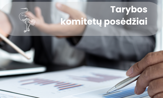 Rugpjūčio 18-21 dienomis vyks komitetų posėdžiai