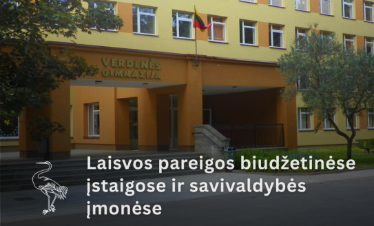 Skelbiama specialistų paieška Visagino „Verdenės“ gimnazijoje