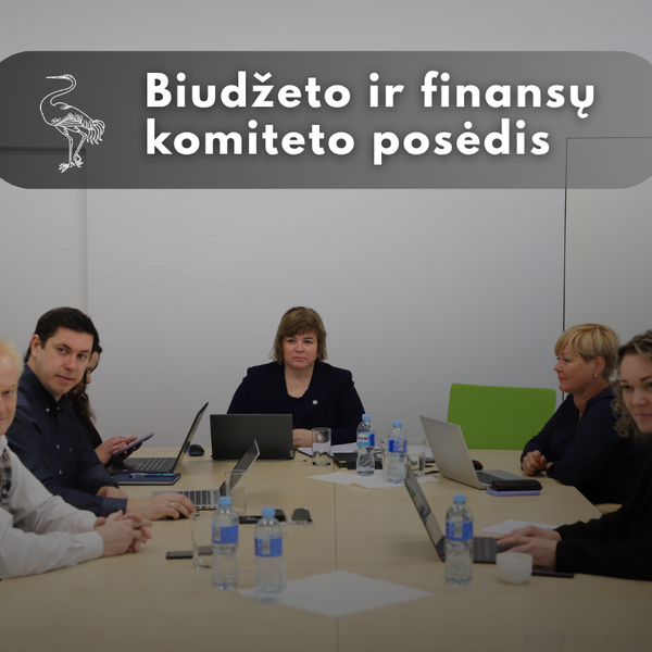 BIUDŽETO IR FINANSŲ komiteto posėdis