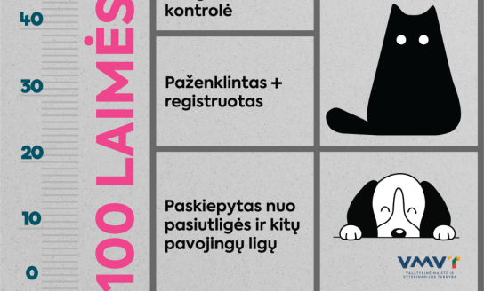 „100 laimės centimetrų“: kaip išmatuoti augintinio laimę?