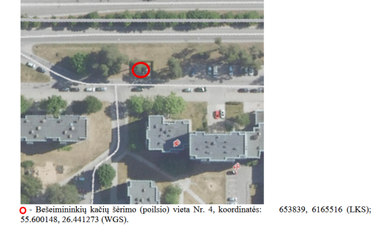 Visagine nustatyta bešeimininkių kačių šėrimo (poilsio) vieta Nr. 4 (Taikos pr. 48)