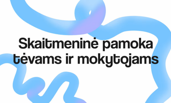 Internetinėms apgavystėms GRIEŽTAS NE!