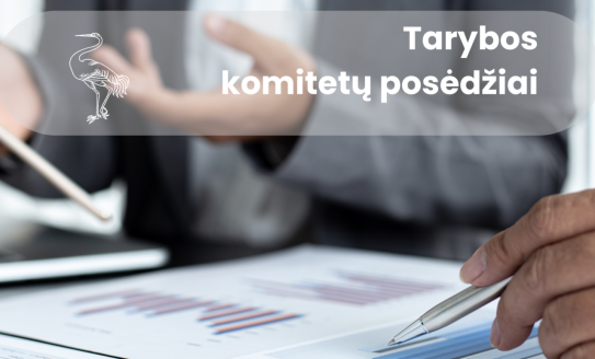 Lapkričio 18-19 d. vyks Visagino savivaldybės tarybos komitetų posėdžiai