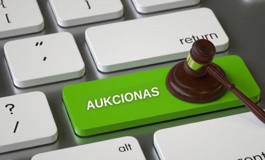 Skelbiami žemės sklypų aukcionai Visagino savivaldybėje