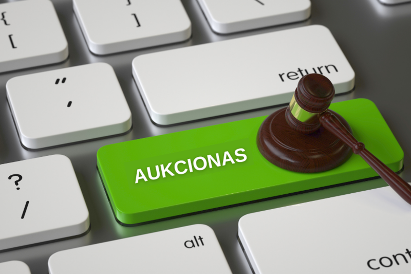 Skelbiami žemės sklypų aukcionai Visagino savivaldybėje