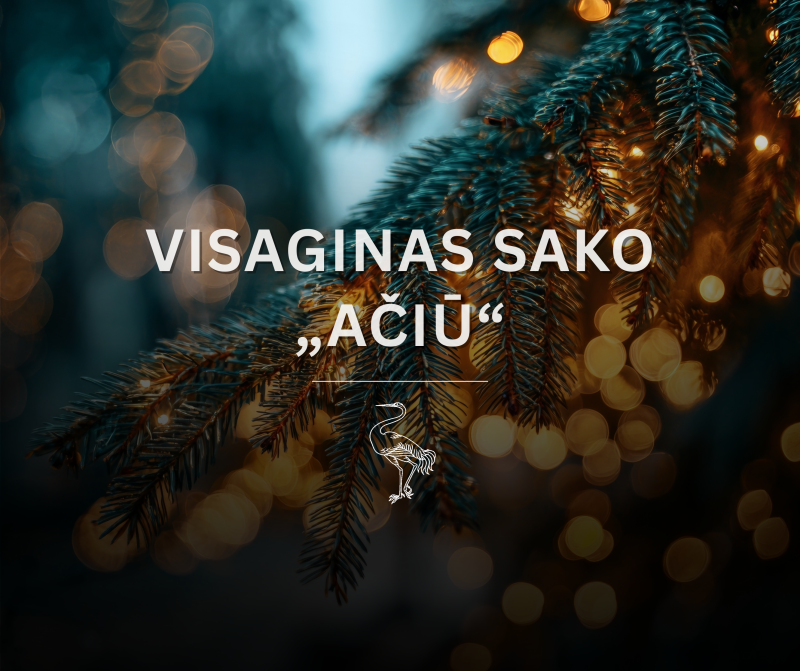 Meras Erlandas Galaguz dėkoja G. Karpickienei, padovanojusiai Visaginui eglę