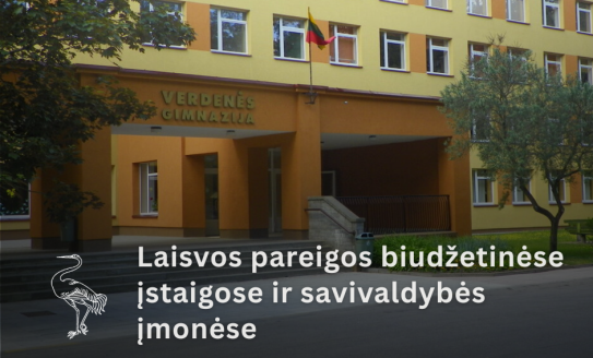 Skelbiama specialistų paieška Visagino „Verdenės“ gimnazijoje