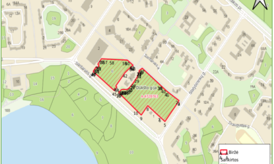 Valstybinės reikšmės miške Visagine bus atliekami atrankiniai sanitariniai kirtimai