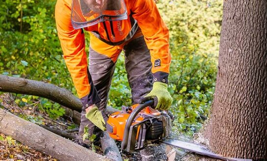 Išdžiūvusių medžių kirtimas Visagino miesto teritorijoje