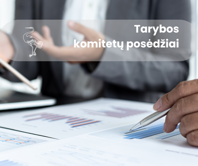 Sausio 20-21 d. vyks Visagino savivaldybės tarybos komitetų posėdžiai