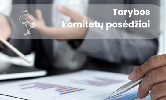 Pranešimas dėl Ekonomikos ir verslo komiteto posėdžio tęsimo