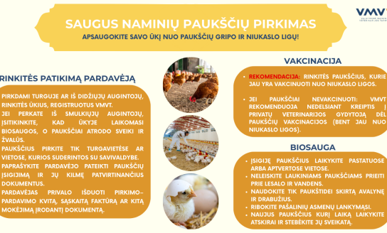 Artėjanti pavasarinė paukščių įsigijimo karštinė – kaip neparsinešti ligų į savo kiemą?