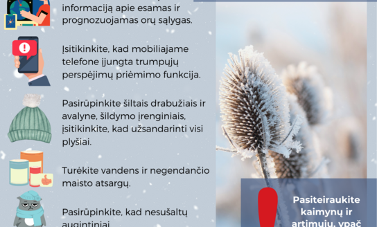 Prognozuojami itin šalti orai