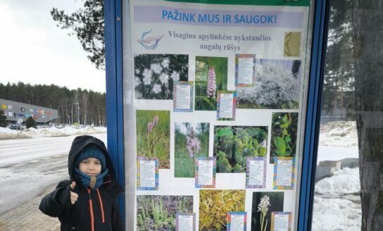 „Verdenės“ gimnazijos mokinių išleisti plakatai supažindina miesto bendruomenę su nykstančiomis...