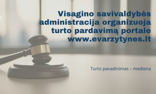 Visagino savivaldybės administracija organizuoja turto pardavimą portale www.evarzytynes.lt
