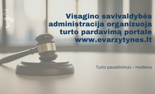 Visagino savivaldybės administracija organizuoja turto pardavimą portale www.evarzytynes.lt