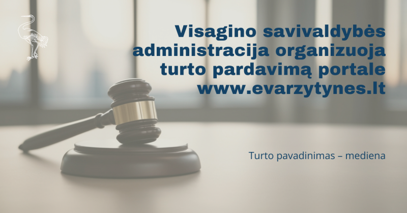 Visagino savivaldybės administracija organizuoja turto pardavimą portale www.evarzytynes.lt