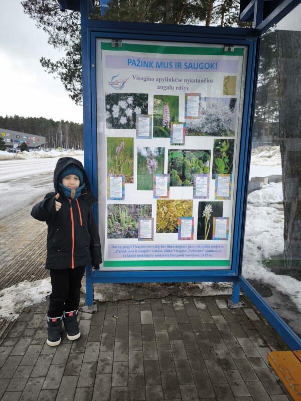 „Verdenės“ gimnazijos mokinių išleisti plakatai supažindina miesto bendruomenę su nykstančiomis...