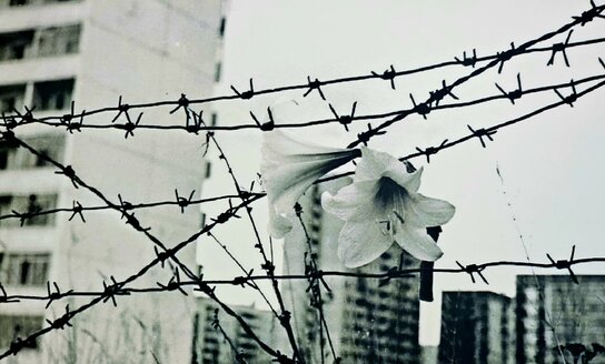 Balandžio 26 d. – Černobylio AE avarijos 40-ųjų metinių minėjimas