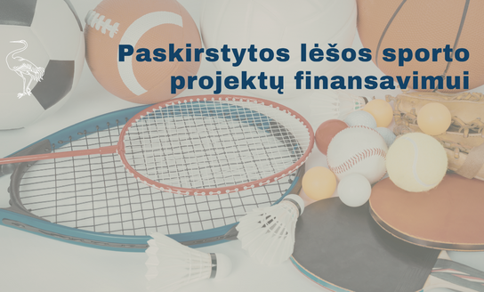 Paskirstytos lėšos sporto projektų finansavimui
