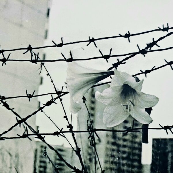 Balandžio 26 d. – Černobylio AE avarijos 40-ųjų metinių minėjimas