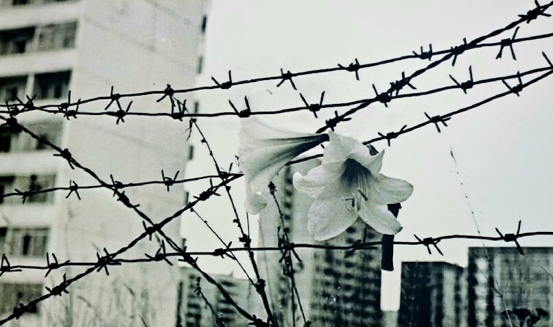 Paveikslelis, susijęs su Balandžio 26 d. – Černobylio AE avarijos 40-ųjų metinių minėjimas