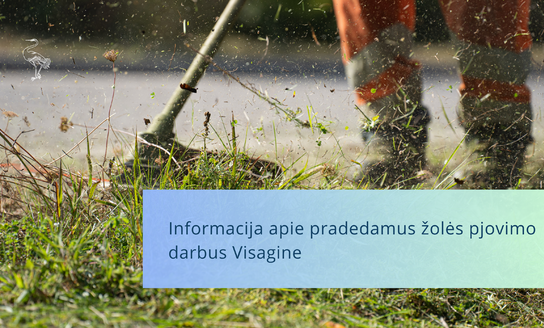 Informacija apie pradedamus žolės pjovimo darbus Visagine
