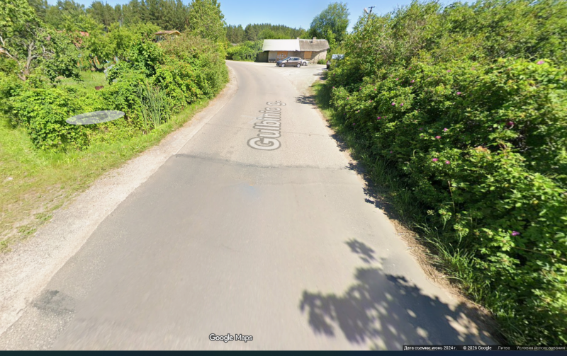 Informacija apie atliekamus Gulbinio gatvės (Visagino sav., S/B „Pavasaris“) remonto darbus