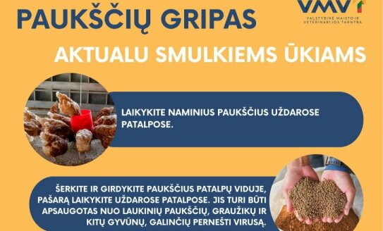 Įspėjimai paukščių augintojams: paukščių gripo protrūkis Širvintų rajone