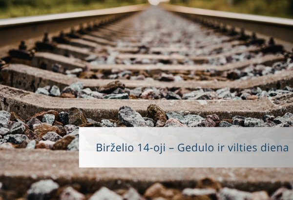 Gedulo ir vilties diena Visagine