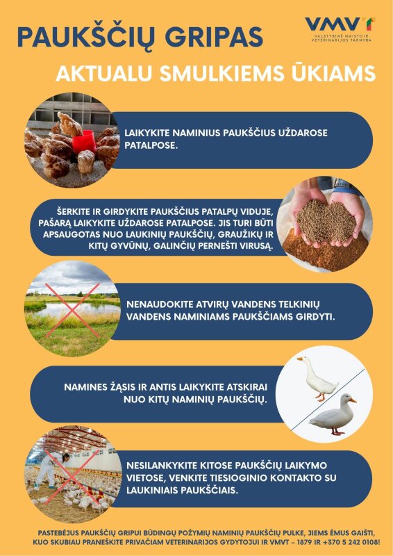 Įspėjimai paukščių augintojams: paukščių gripo protrūkis Širvintų rajone