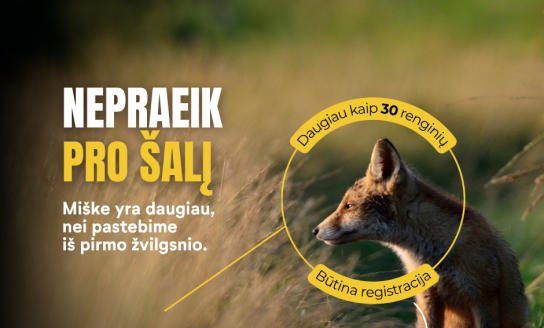 „Nepraeik pro šalį“: rugsėjį – daugiau nei 30 renginių visoje Lietuvoje ir Miškininko dienos...