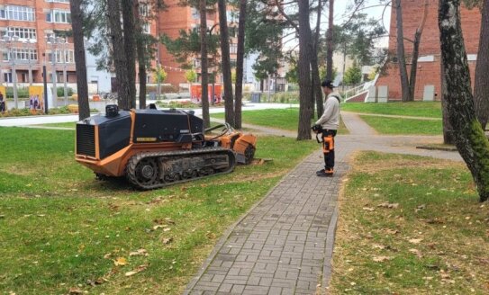 Vykdomi kelmų šalinimo darbai