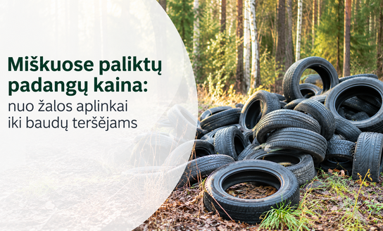 Miškuose paliktų padangų kaina: nuo žalos aplinkai iki baudų teršėjams