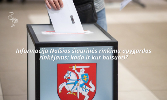 Informacija Nalšios šiaurinės rinkimų apygardos rinkėjams: kada ir kur balsuoti?
