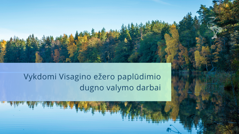 Vykdomi Visagino ežero paplūdimio dugno valymo darbai