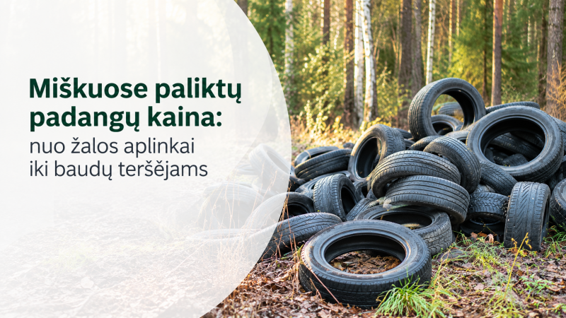 Miškuose paliktų padangų kaina: nuo žalos aplinkai iki baudų teršėjams